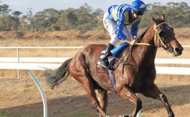 Gumbys Gossip Northam 24th May 